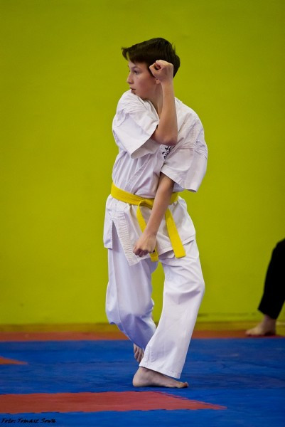 Zobacz zdjęcia z turnieju karate w Sanoku