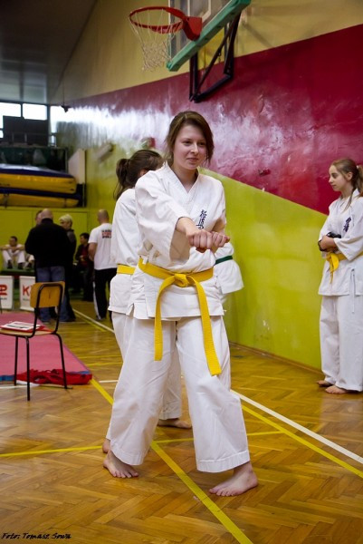 Zobacz zdjęcia z turnieju karate w Sanoku