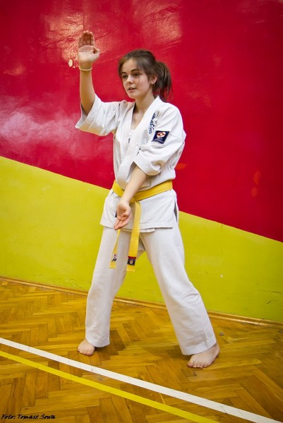Zobacz zdjęcia z turnieju karate w Sanoku