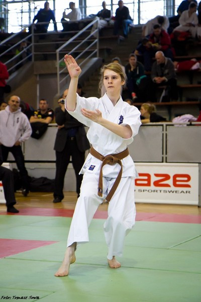 Zobacz zdjęcia z turnieju karate w Sanoku