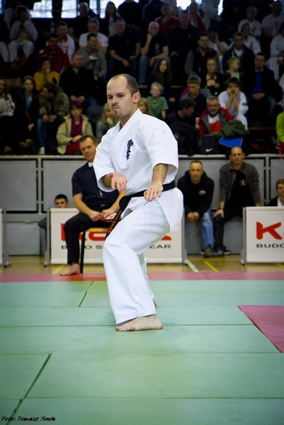 Zobacz zdjęcia z turnieju karate w Sanoku