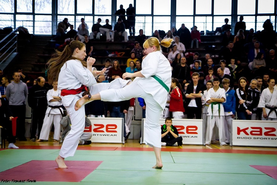 Zobacz zdjęcia z turnieju karate w Sanoku