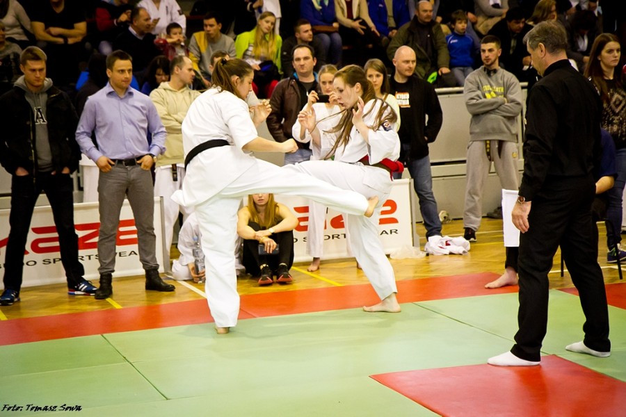 Zobacz zdjęcia z turnieju karate w Sanoku