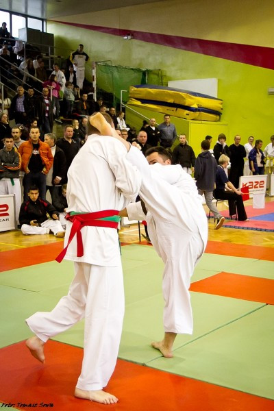 Zobacz zdjęcia z turnieju karate w Sanoku