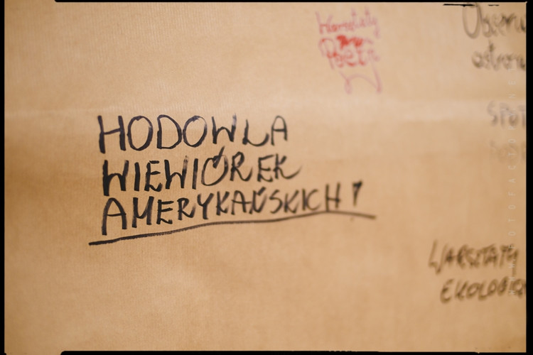 Kultura na dworcu: ?To miejsce ma żyć i integrować?