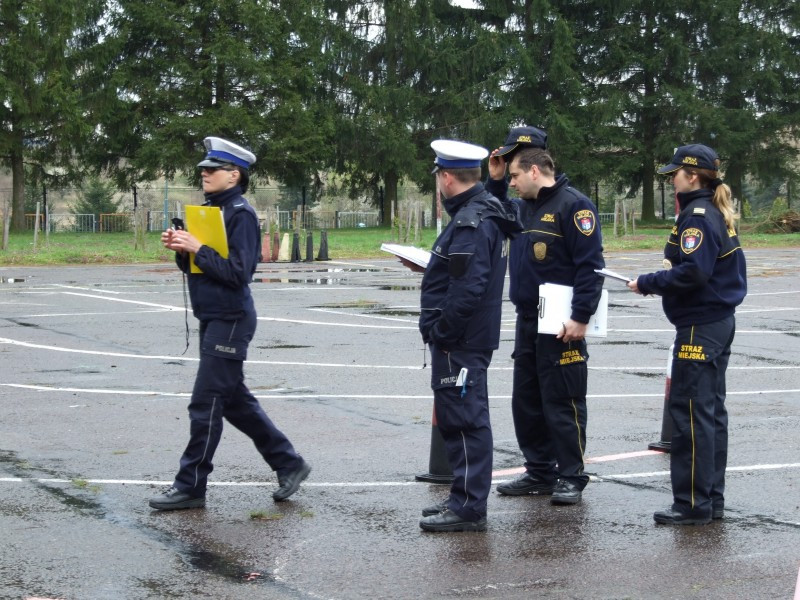 To oni najlepiej znają się na samochodach