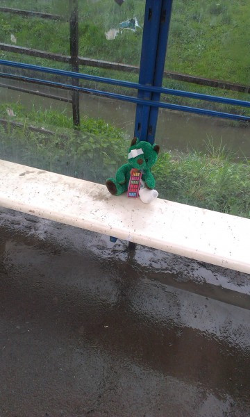 Pluszaki przeciwko przemocy