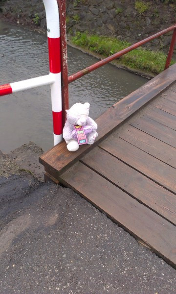 Pluszaki przeciwko przemocy