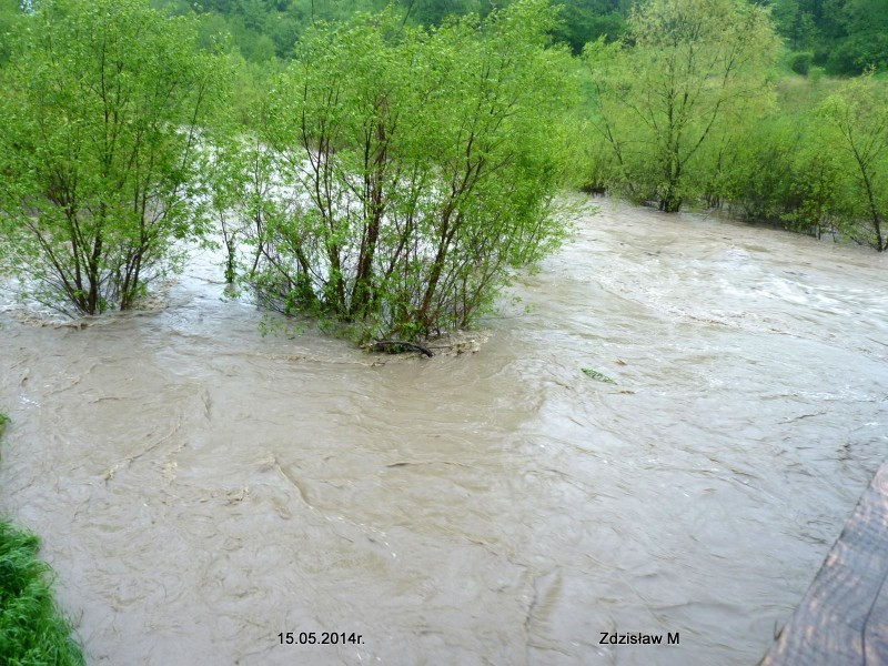 W Ustrzykach Dolnych jest powódź. Rzeki w powiecie sanockim przekroczyły poziom alarmowy