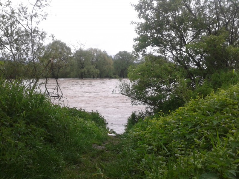 Zalane budynki i ulice, ewakuacja ludzi, przekroczone stany alarmowe rzek. Sprawdź aktualną sytuację