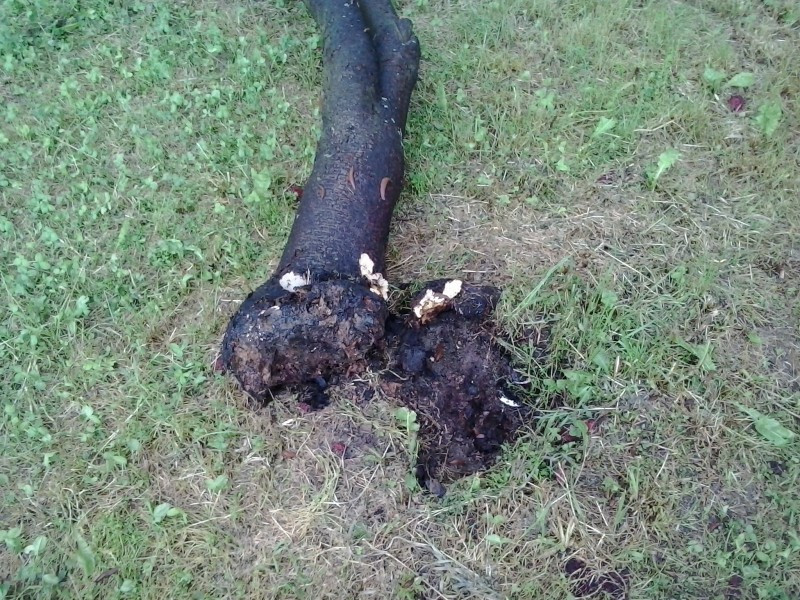 Potężna ulewa nad Sanokiem. Wiatr zerwał dach gimnazjum