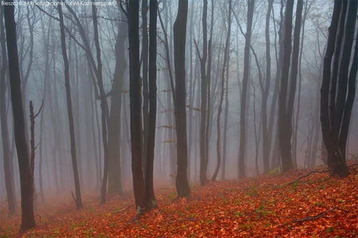 Bieszczady w obiektywie braci Kaźmierczaków