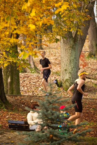 Zobacz zdjęcia z Sokolego 