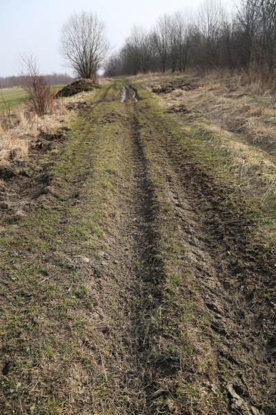 Sanocka strefa ekonomiczna. Wiceburmistrz: ?Ja bym tu nie inwestował?