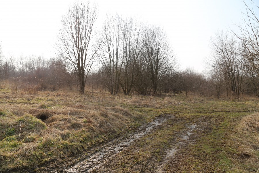 Sanocka strefa ekonomiczna. Wiceburmistrz: ?Ja bym tu nie inwestował?