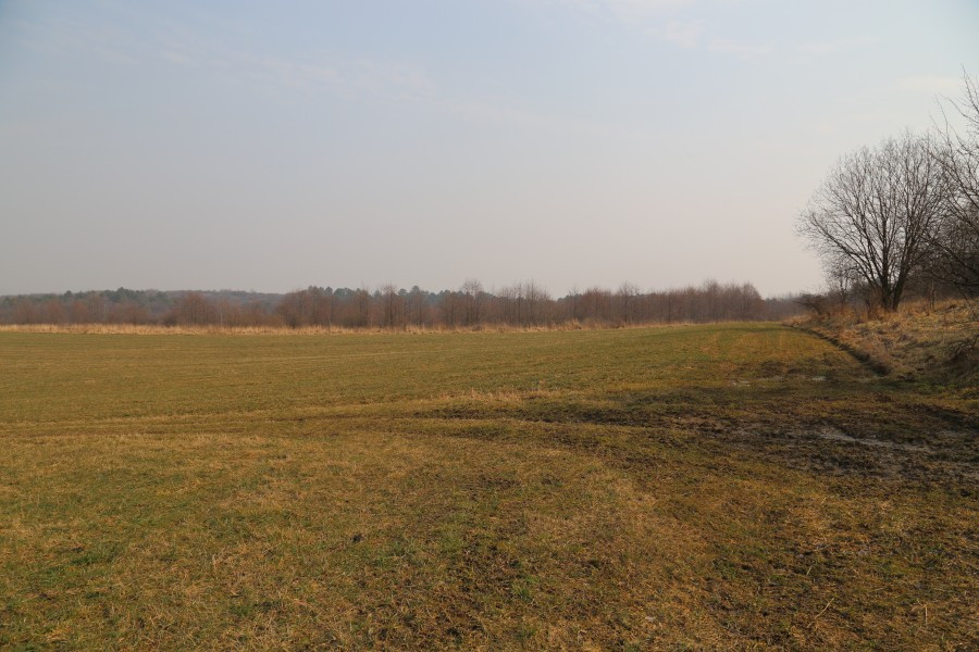 Sanocka strefa ekonomiczna. Wiceburmistrz: ?Ja bym tu nie inwestował?