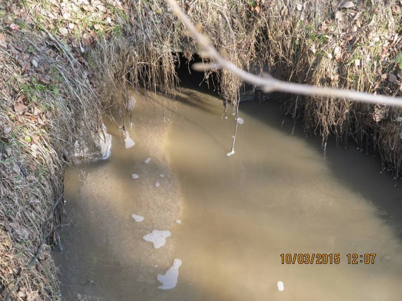 Do potoku trafiają ścieki? Będą kontrole i mandaty za nielegalne zrzuty