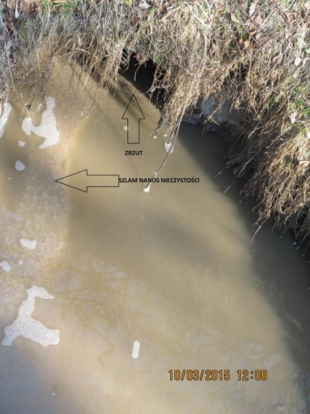 Do potoku trafiają ścieki? Będą kontrole i mandaty za nielegalne zrzuty