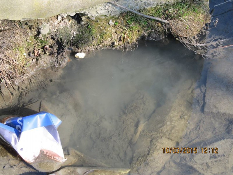 Do potoku trafiają ścieki? Będą kontrole i mandaty za nielegalne zrzuty