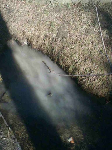 Do potoku trafiają ścieki? Będą kontrole i mandaty za nielegalne zrzuty