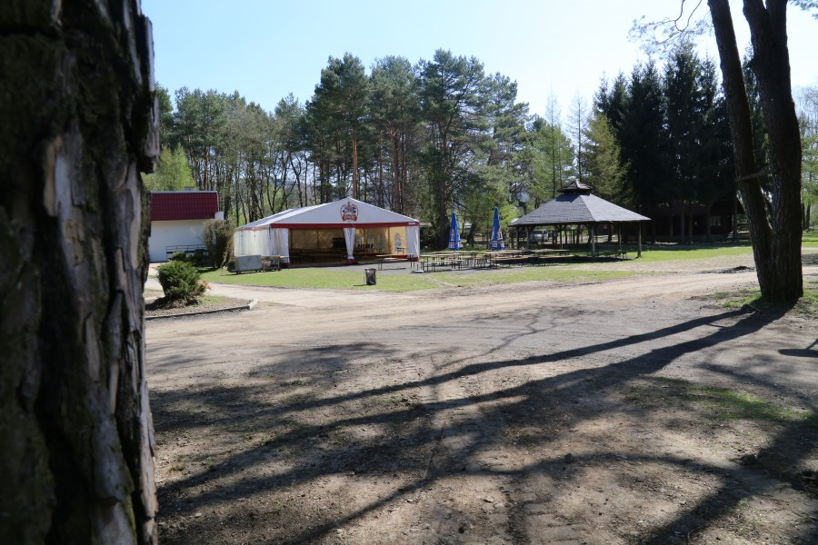 Przyjdź i zobacz, jak zmieniły się Sosenki