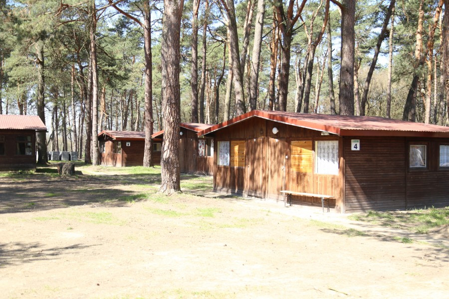 Przyjdź i zobacz, jak zmieniły się Sosenki