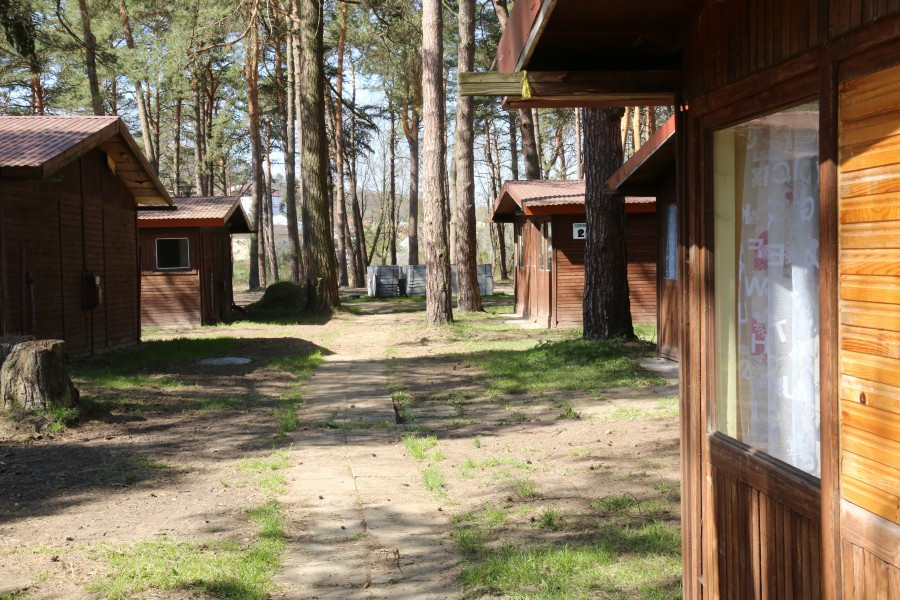 Przyjdź i zobacz, jak zmieniły się Sosenki