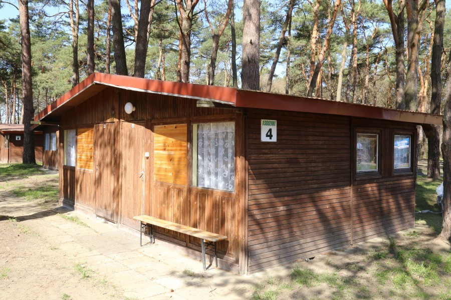 Przyjdź i zobacz, jak zmieniły się Sosenki