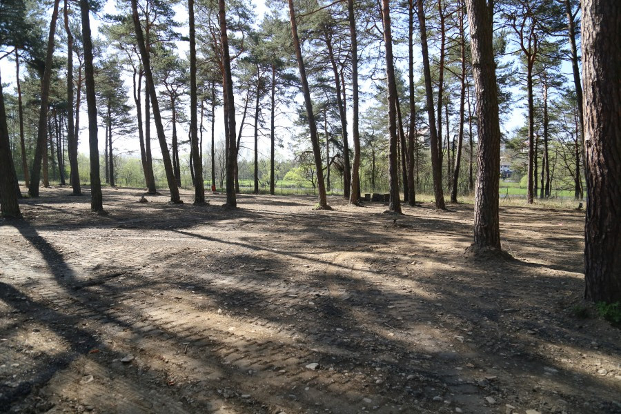 Przyjdź i zobacz, jak zmieniły się Sosenki