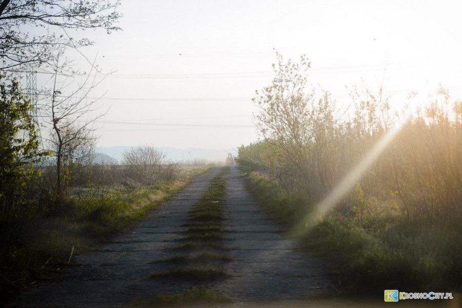 Zawody balonowe 2015. Zobacz fotorelację!