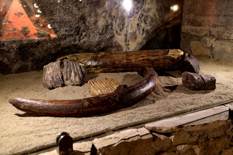 W tysiąc eksponatów dookoła Sanoka