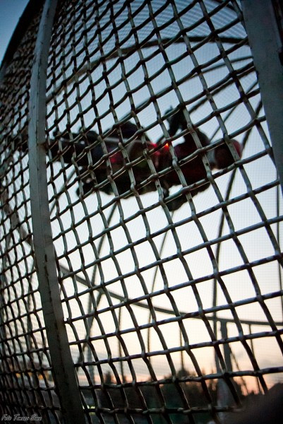 Streets Owners dali pokaz w Sanoku!