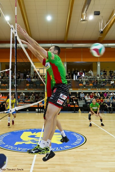 TSV zdeklasował Avię. Zobacz obszerną fotorelację z meczu