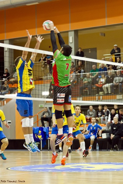 TSV zdeklasował Avię. Zobacz obszerną fotorelację z meczu