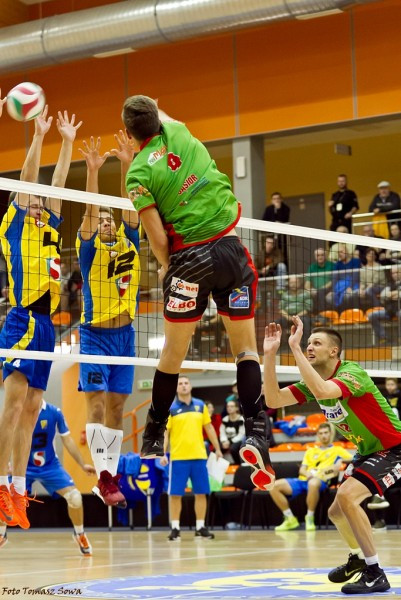 TSV zdeklasował Avię. Zobacz obszerną fotorelację z meczu