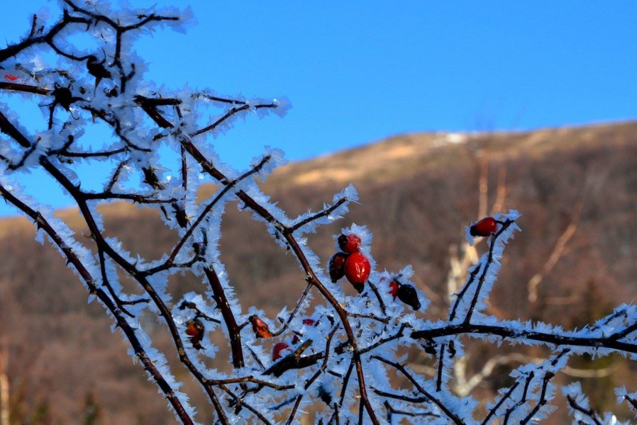 Bieszczady zimą - piękne i niebezpieczne