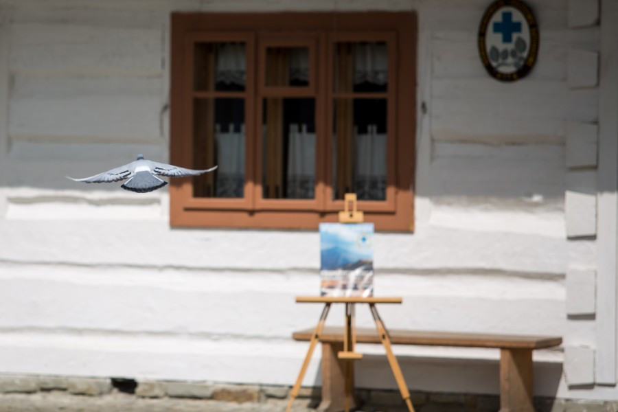 W skansenie rządził folklor [FOTORELACJA]