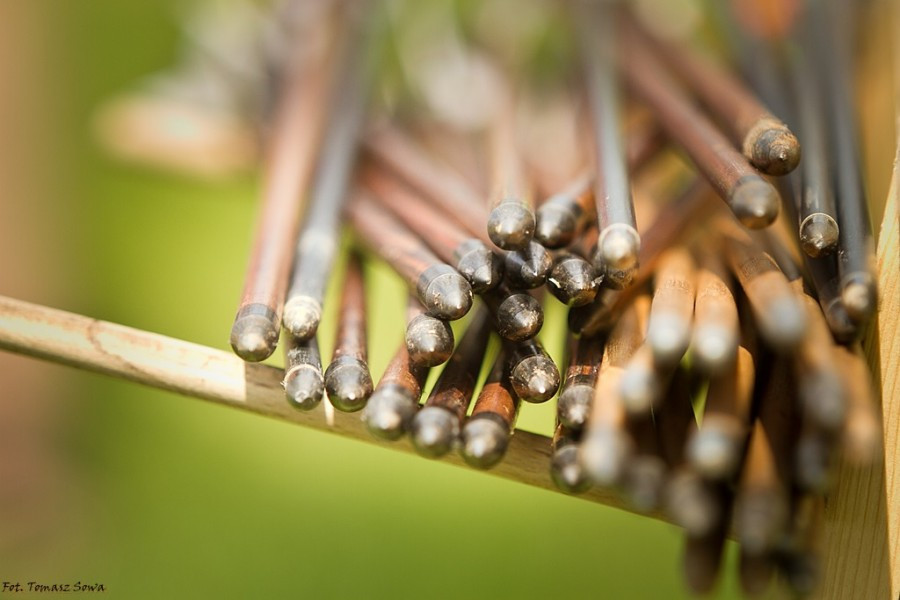 MOTOSERCE 2016 na zdjęciach [FOTORELACJA]