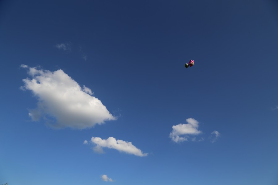 Tłumy na otwarciu Brykalni! [FOTORELACJA]