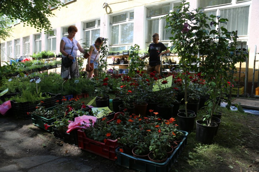 Agrobieszczady 2016. Impreza, którą łączy pokolenia i promuje region [FOTORELACJA]