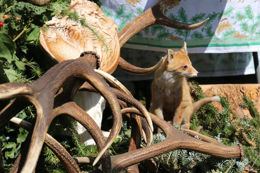 Agrobieszczady 2016. Impreza, którą łączy pokolenia i promuje region [FOTORELACJA]