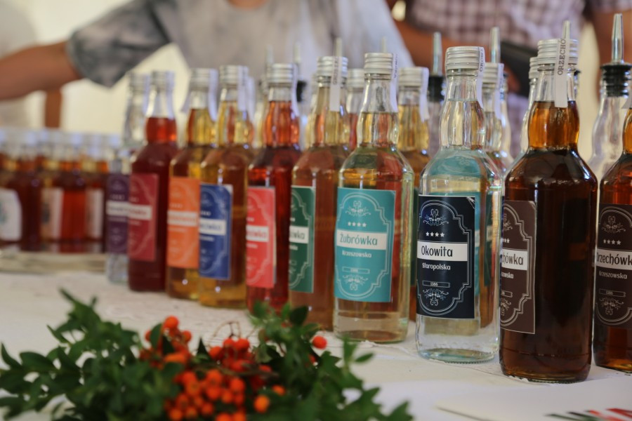 Agrobieszczady 2016. Impreza, którą łączy pokolenia i promuje region [FOTORELACJA]