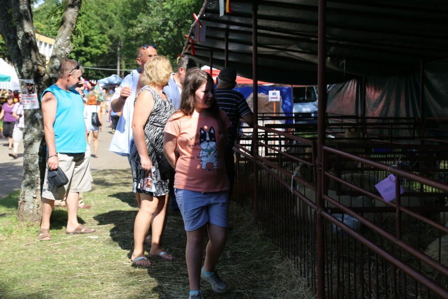 Agrobieszczady 2016. Impreza, którą łączy pokolenia i promuje region [FOTORELACJA]