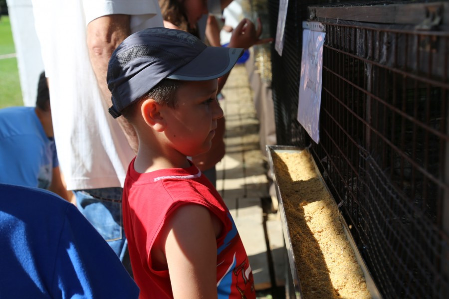 Agrobieszczady 2016. Impreza, którą łączy pokolenia i promuje region [FOTORELACJA]