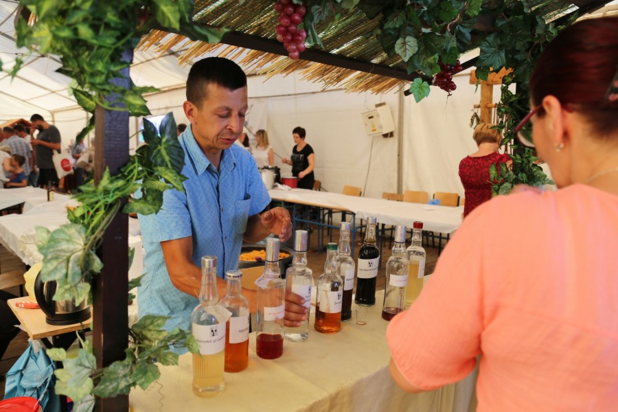 Agrobieszczady 2016. Impreza, którą łączy pokolenia i promuje region [FOTORELACJA]