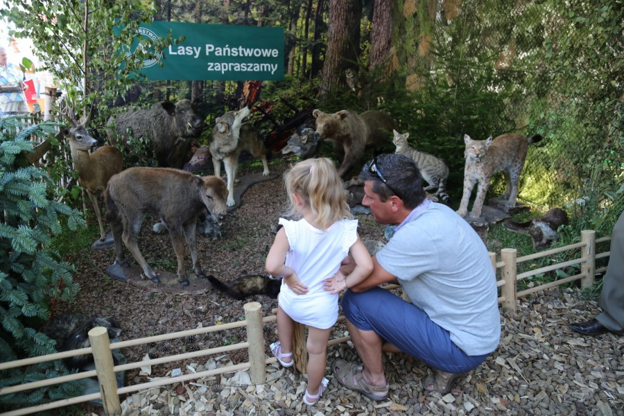 Agrobieszczady 2016. Impreza, którą łączy pokolenia i promuje region [FOTORELACJA]