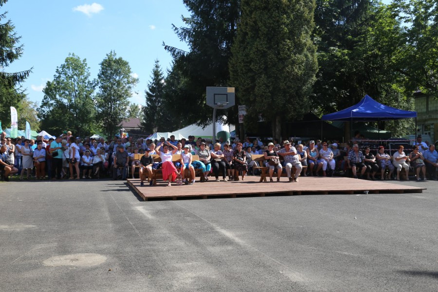 Agrobieszczady 2016. Impreza, którą łączy pokolenia i promuje region [FOTORELACJA]