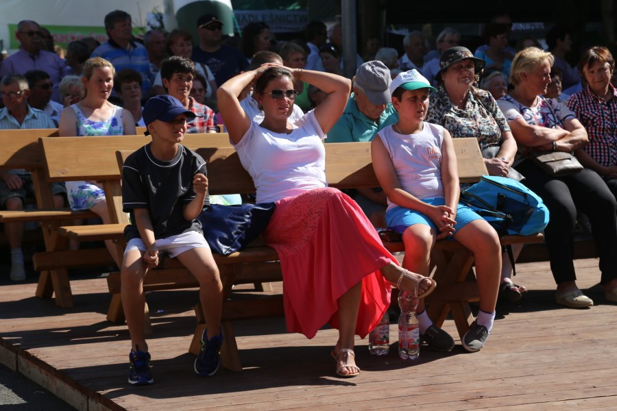 Agrobieszczady 2016. Impreza, którą łączy pokolenia i promuje region [FOTORELACJA]