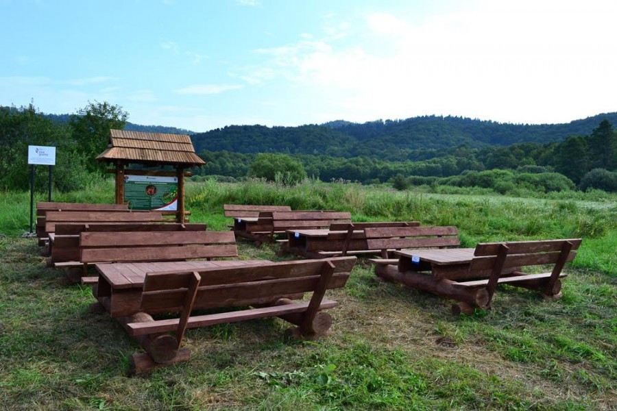 Edukacyjny spacer. Tu zobaczysz przepiórki, orliki i sokoły
