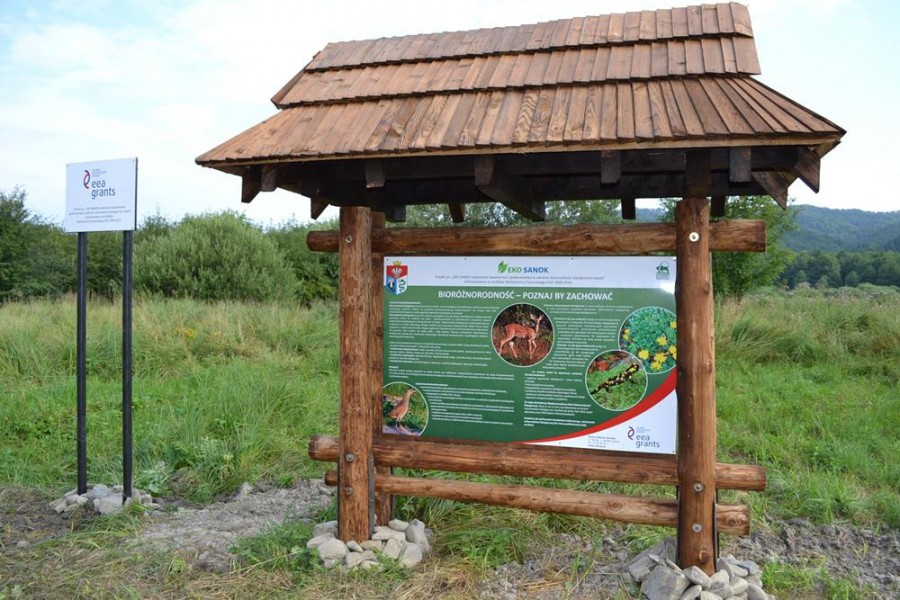Edukacyjny spacer. Tu zobaczysz przepiórki, orliki i sokoły